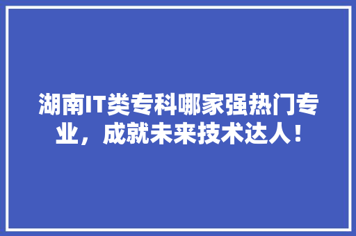 湖南IT类专科哪家强热门专业，成就未来技术达人！ 百度SEO