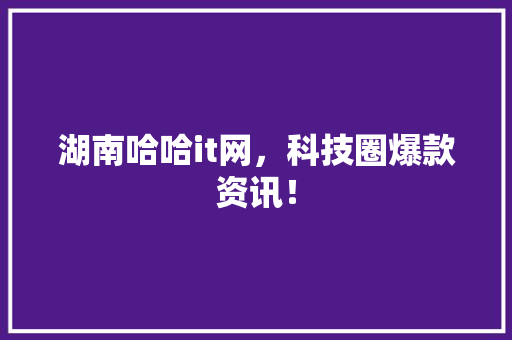 湖南哈哈it网，科技圈爆款资讯！