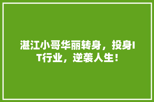 湛江小哥华丽转身，投身IT行业，逆袭人生！ 神马SEO