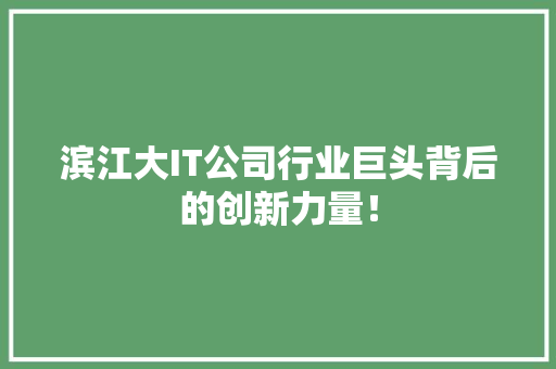 滨江大IT公司行业巨头背后的创新力量！