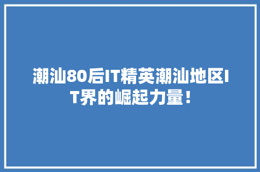 潮汕80后IT精英潮汕地区IT界的崛起力量！