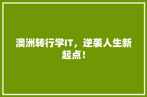 澳洲转行学IT，逆袭人生新起点！ 必应SEO