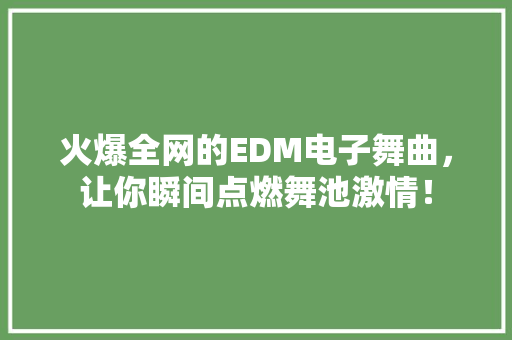 火爆全网的EDM电子舞曲，让你瞬间点燃舞池激情！