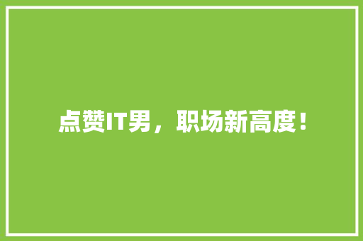 点赞IT男，职场新高度！