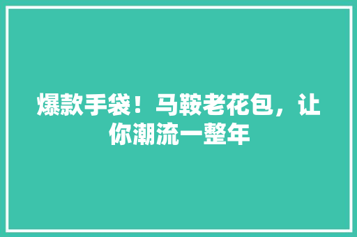 爆款手袋！马鞍老花包，让你潮流一整年