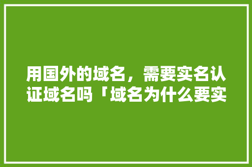 用国外的域名，需要实名认证域名吗「域名为什么要实名认证呢」