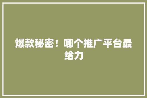 爆款秘密！哪个推广平台最给力 神马SEO
