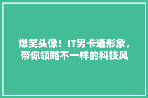 爆笑头像！IT男卡通形象，带你领略不一样的科技风