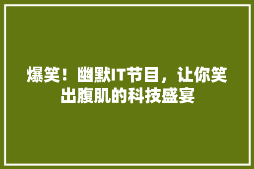爆笑！幽默IT节目，让你笑出腹肌的科技盛宴