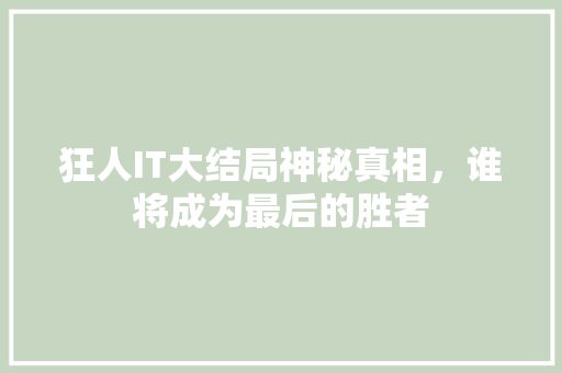 狂人IT大结局神秘真相，谁将成为最后的胜者 百度SEO