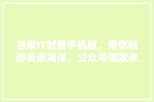 独家IT时报手机版，带你畅游资讯海洋，公众号爆款来袭！
