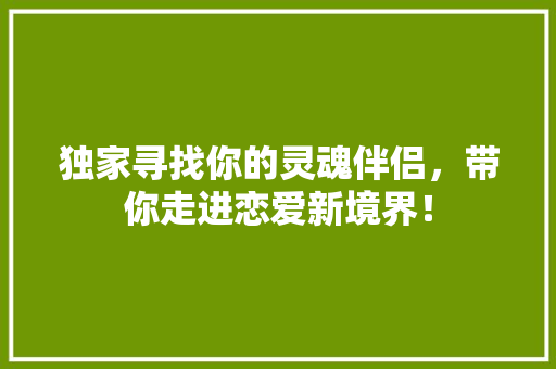 独家寻找你的灵魂伴侣，带你走进恋爱新境界！