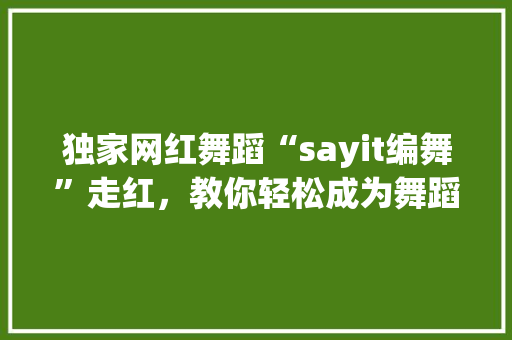 独家网红舞蹈“sayit编舞”走红，教你轻松成为舞蹈达人