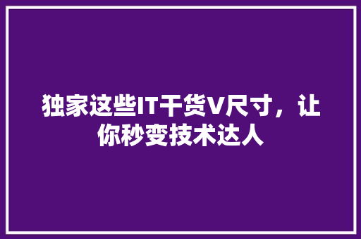 独家这些IT干货V尺寸，让你秒变技术达人