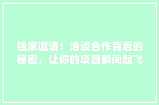 独家邀请！洽谈合作背后的秘密，让你的项目瞬间起飞！