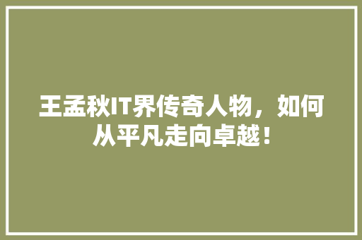 王孟秋IT界传奇人物，如何从平凡走向卓越！