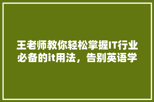 王老师教你轻松掌握IT行业必备的it用法，告别英语学习难题！