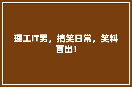 理工IT男，搞笑日常，笑料百出！