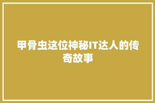 甲骨虫这位神秘IT达人的传奇故事 GoogleSEO