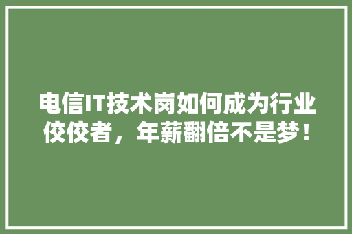 电信IT技术岗如何成为行业佼佼者，年薪翻倍不是梦！