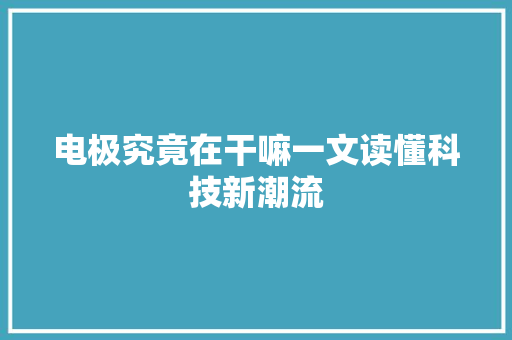 电极究竟在干嘛一文读懂科技新潮流 必应SEO