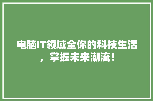电脑IT领域全你的科技生活，掌握未来潮流！ 必应SEO