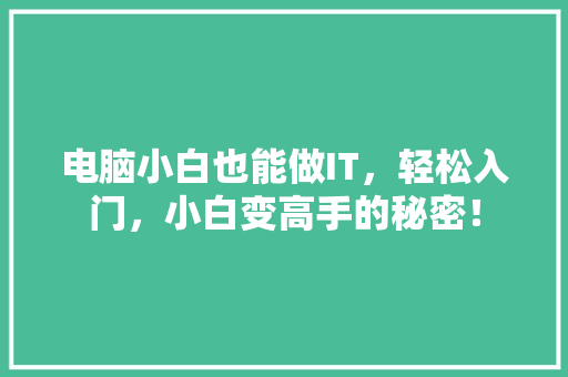 电脑小白也能做IT，轻松入门，小白变高手的秘密！