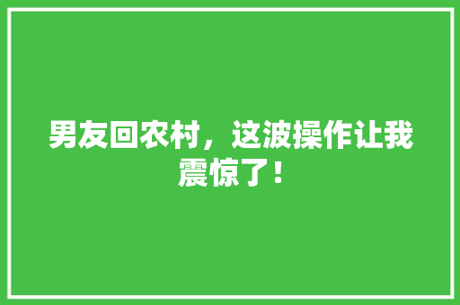 男友回农村，这波操作让我震惊了！ 必应SEO