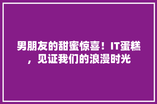 男朋友的甜蜜惊喜！IT蛋糕，见证我们的浪漫时光