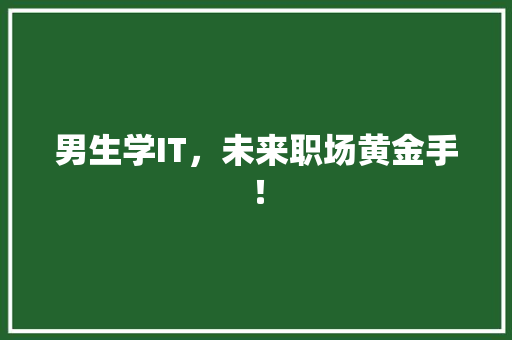 男生学IT，未来职场黄金手！