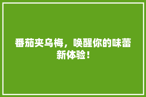 番茄夹乌梅，唤醒你的味蕾新体验！