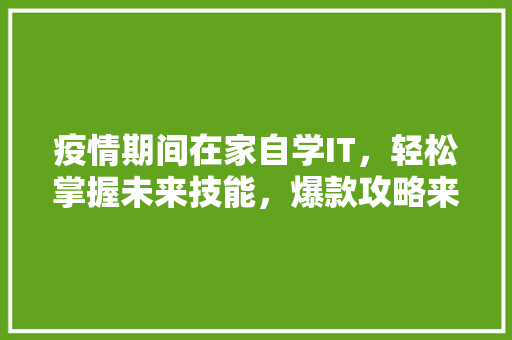 疫情期间在家自学IT，轻松掌握未来技能，爆款攻略来了！