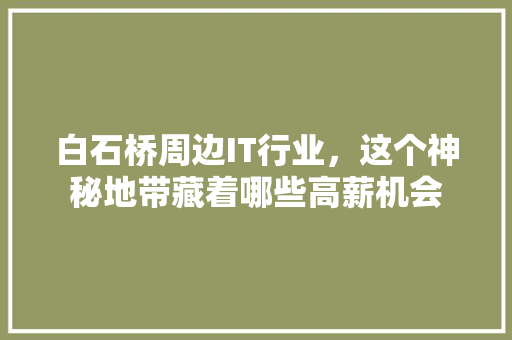 白石桥周边IT行业，这个神秘地带藏着哪些高薪机会