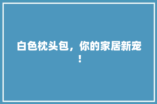 白色枕头包，你的家居新宠！