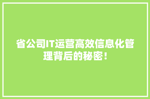 省公司IT运营高效信息化管理背后的秘密！