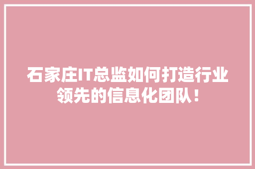 石家庄IT总监如何打造行业领先的信息化团队！