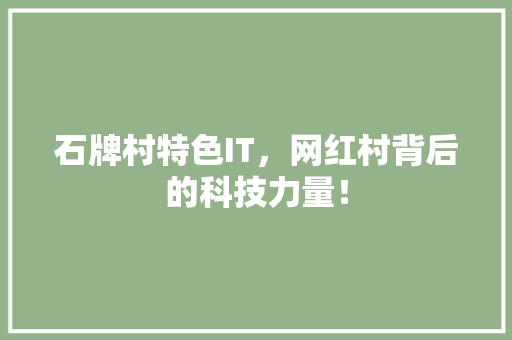 石牌村特色IT，网红村背后的科技力量！