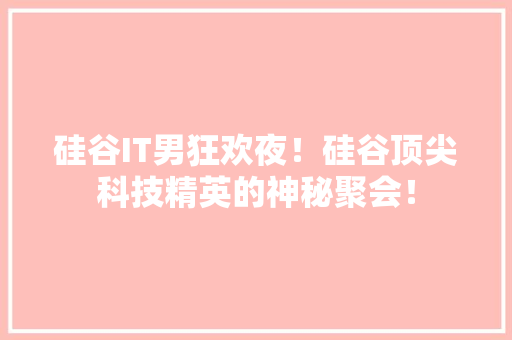 硅谷IT男狂欢夜！硅谷顶尖科技精英的神秘聚会！