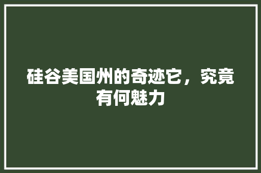 硅谷美国州的奇迹它，究竟有何魅力