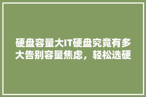 硬盘容量大IT硬盘究竟有多大告别容量焦虑，轻松选硬盘！