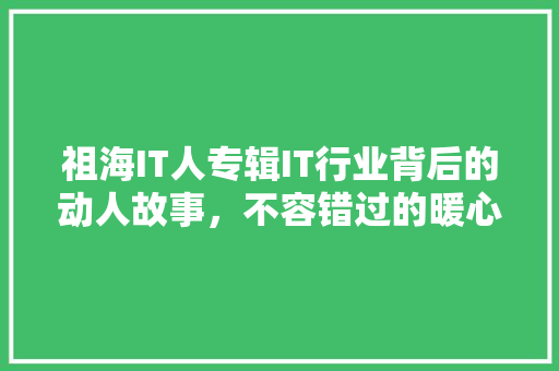 祖海IT人专辑IT行业背后的动人故事，不容错过的暖心佳作！
