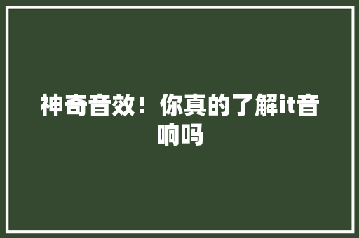 神奇音效！你真的了解it音响吗