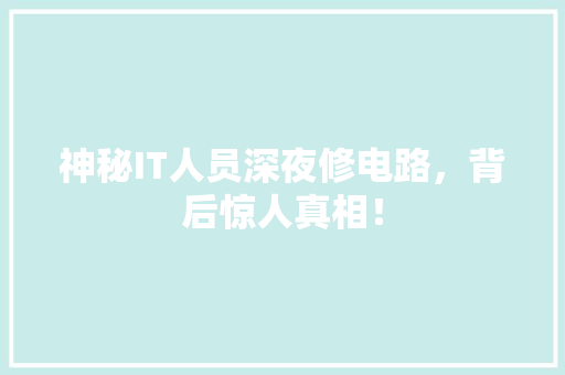 神秘IT人员深夜修电路，背后惊人真相！