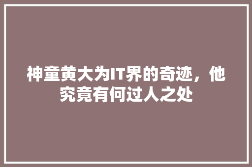 神童黄大为IT界的奇迹，他究竟有何过人之处