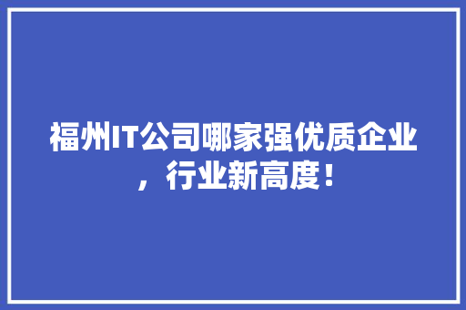 福州IT公司哪家强优质企业，行业新高度！