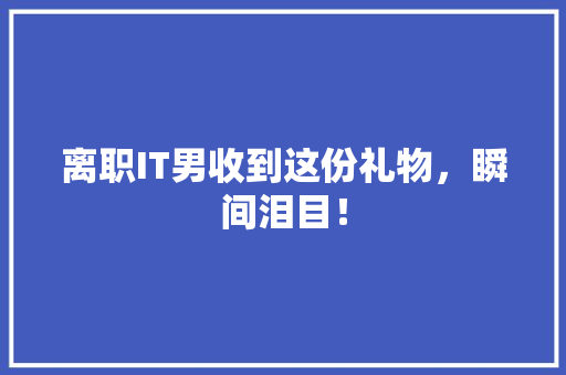 离职IT男收到这份礼物，瞬间泪目！