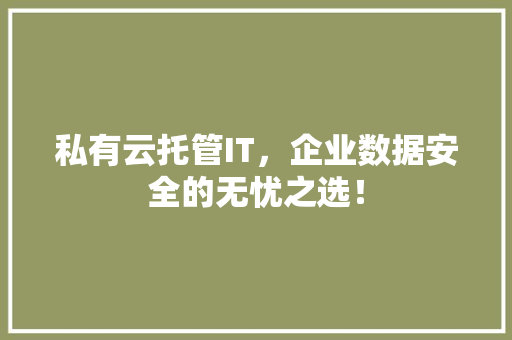 私有云托管IT，企业数据安全的无忧之选！