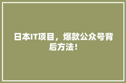 日本IT项目，爆款公众号背后方法！