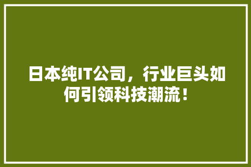 日本纯IT公司，行业巨头如何引领科技潮流！