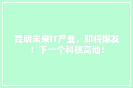 昆明未来IT产业，即将爆发！下一个科技高地！